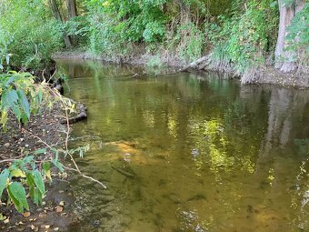Sprzedam  cztery działki w Idzbarku z linią brzegową rzeki - 4