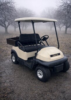 Elektryczny wózek golfowy - 4