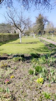 Dzialke ROD do odstapie Wroclaw - 4