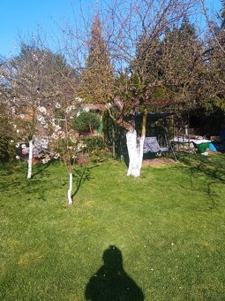 Sprzedam prawo do użytkowania działki ROD - 4