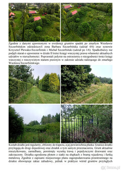 Syndyk sprzeda działkę Ostrowo Kolonia - 4