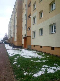 Opróżnianie mieszkań, Wywóz śmieci, złomu, itp. - 4