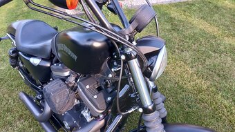 Harley Davidson Sportster Iron 883 - 4