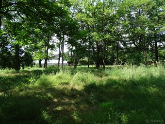 Działka pod inwestycję mieszkaniową, Zajączków - 4