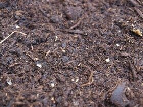 Kompost ziemia własnej produkcji - 4