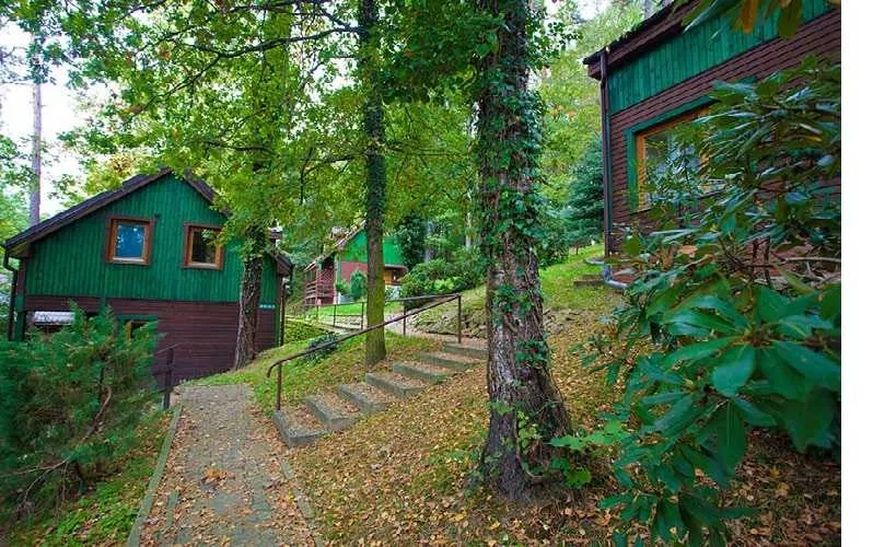 Sprzedaż OSW Złoty Sen w Złotnikach Lubańskich - 5