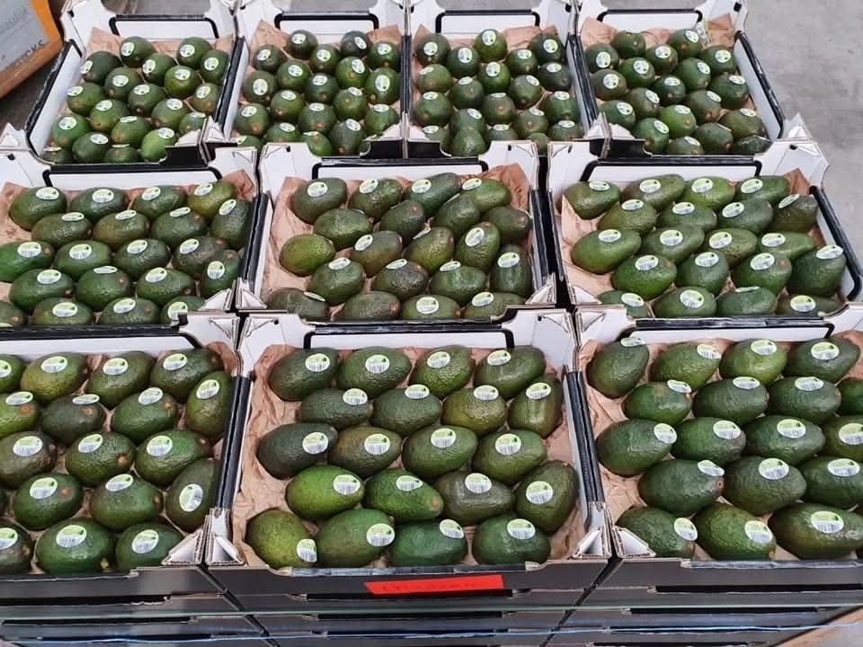 Import owoców i warzyw - 5