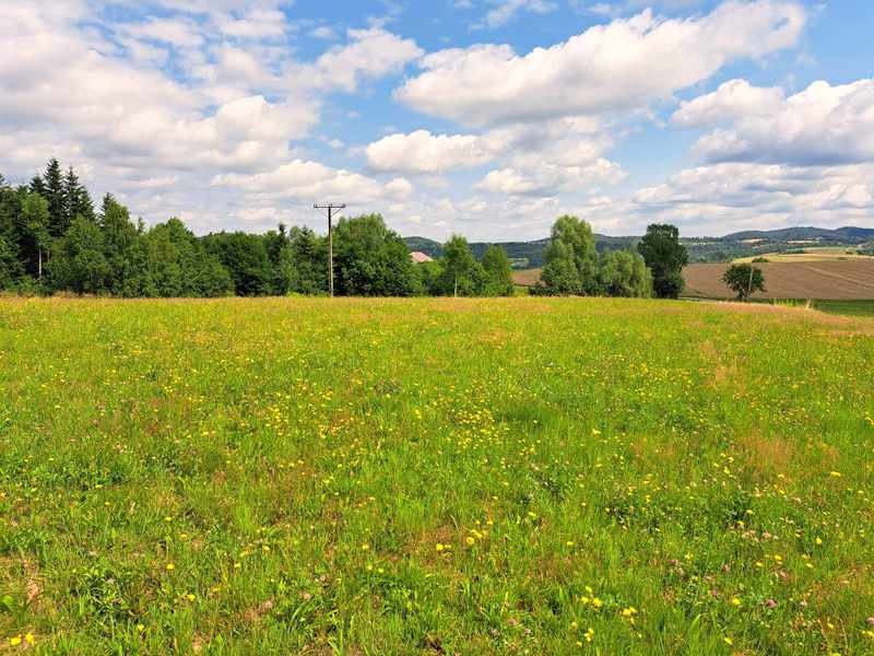 Rzepiennik Marciszewski gm. Gromnik działka budowlana 16 ar - 5