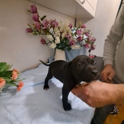 Gotowe do zmiany domku - 5