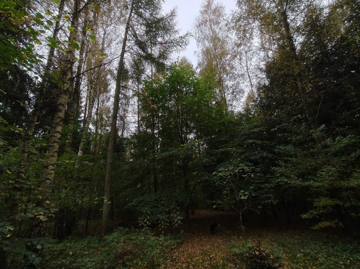 Niezabudowana działka w Kierzkowie, gmina Choczewo, woj. pom - 5