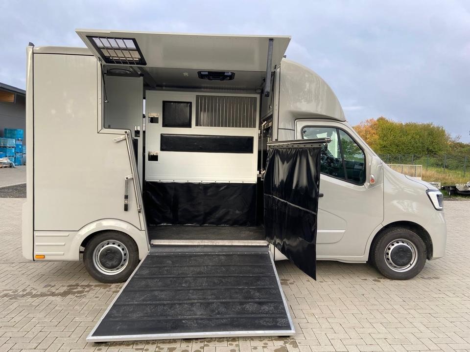Renault Master – Transporter koni 1–2 konie | 2024 - 5