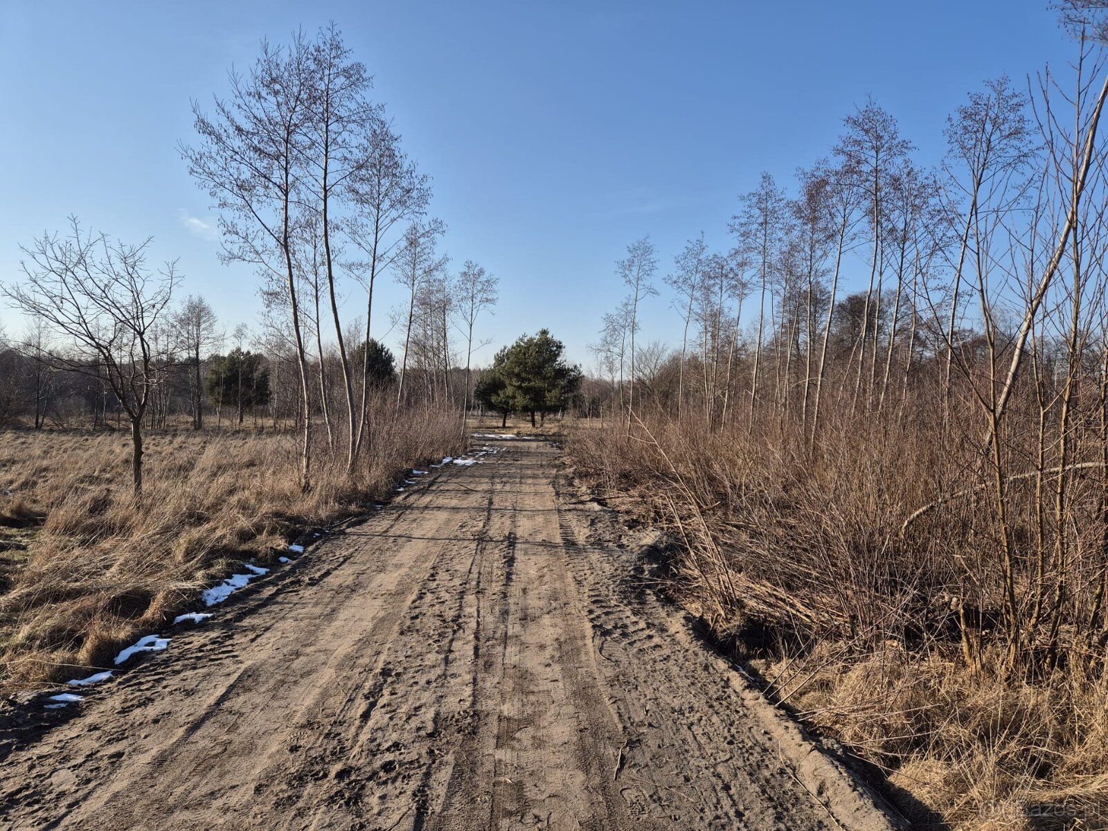Działka Rolno-Rekreacyjna 3000m2 przy Puszczy Bolimowskiej - 5