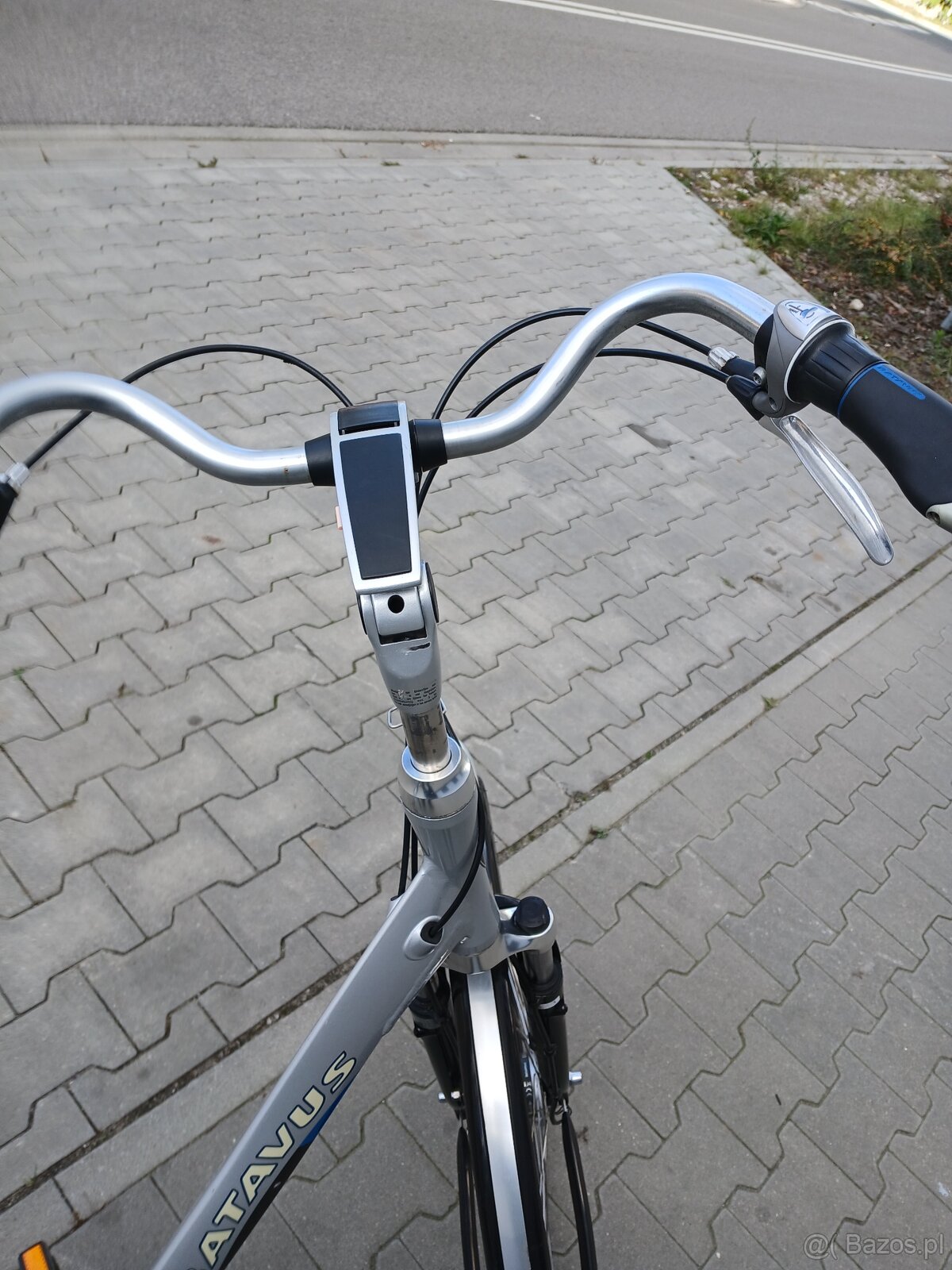 Rower holenderski Batavus - 5