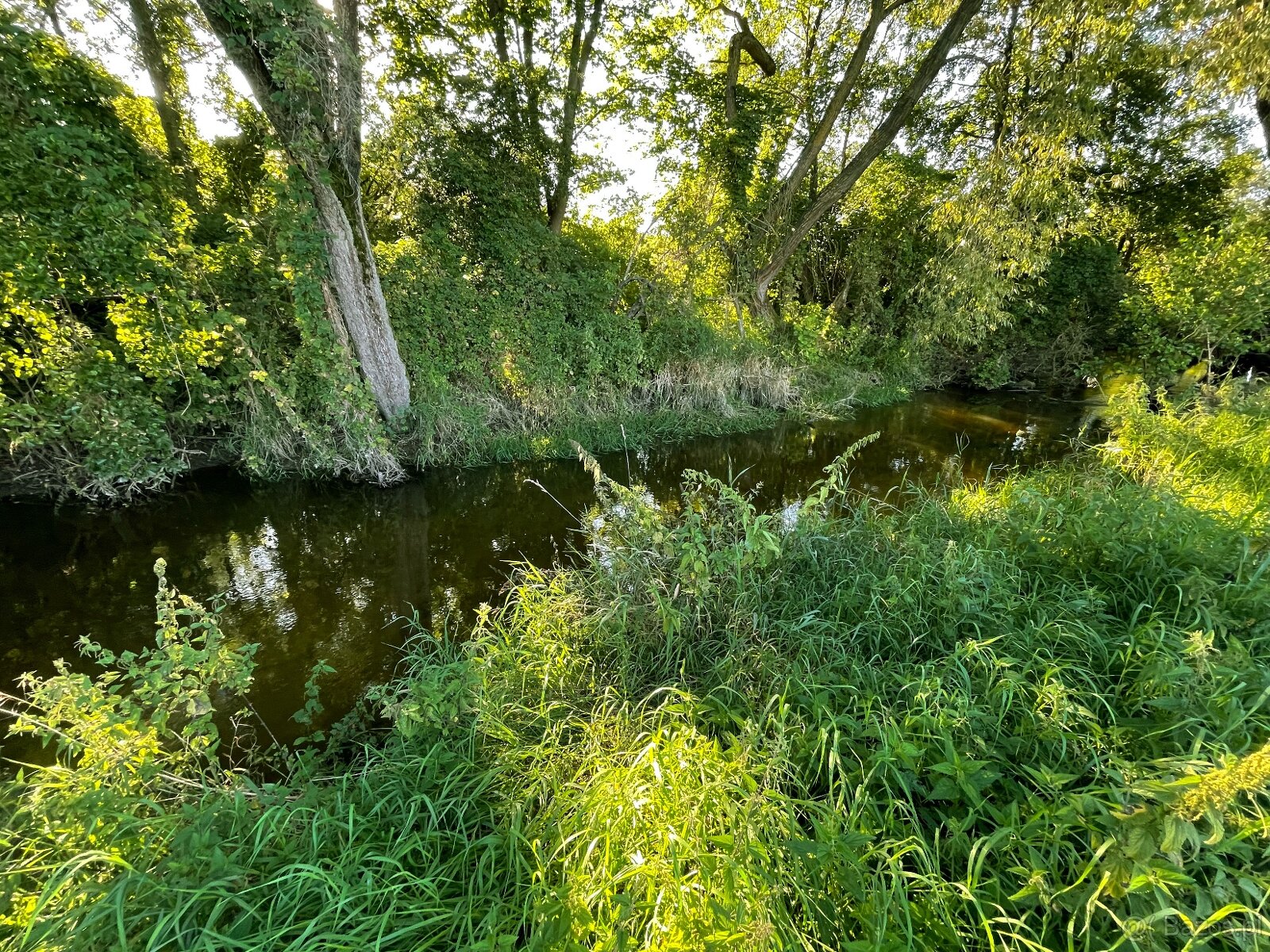 Sprzedam cztery działki w Idzbarku z linią brzegową rzeki - 5