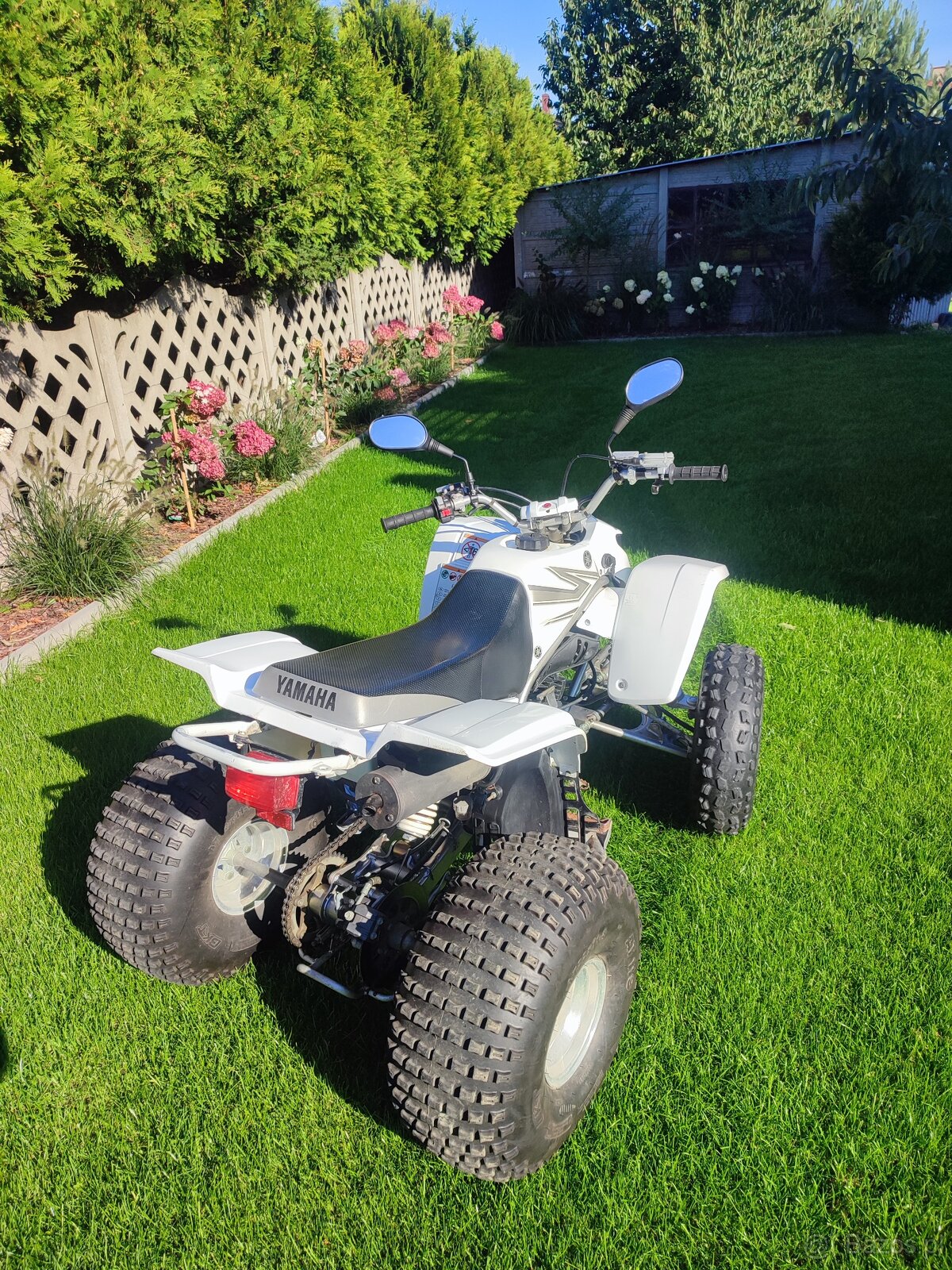 Yamaha Blaster 200 2T - 5