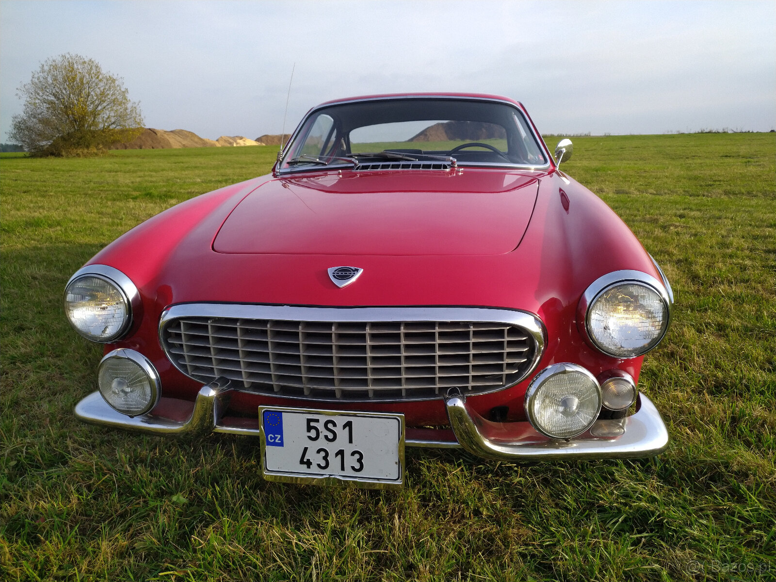 Volvo 1800 - 5