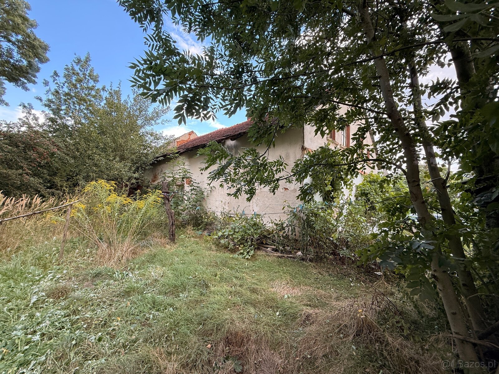 Dom z dużą działką przy polsko-czeskiej granicy - 5