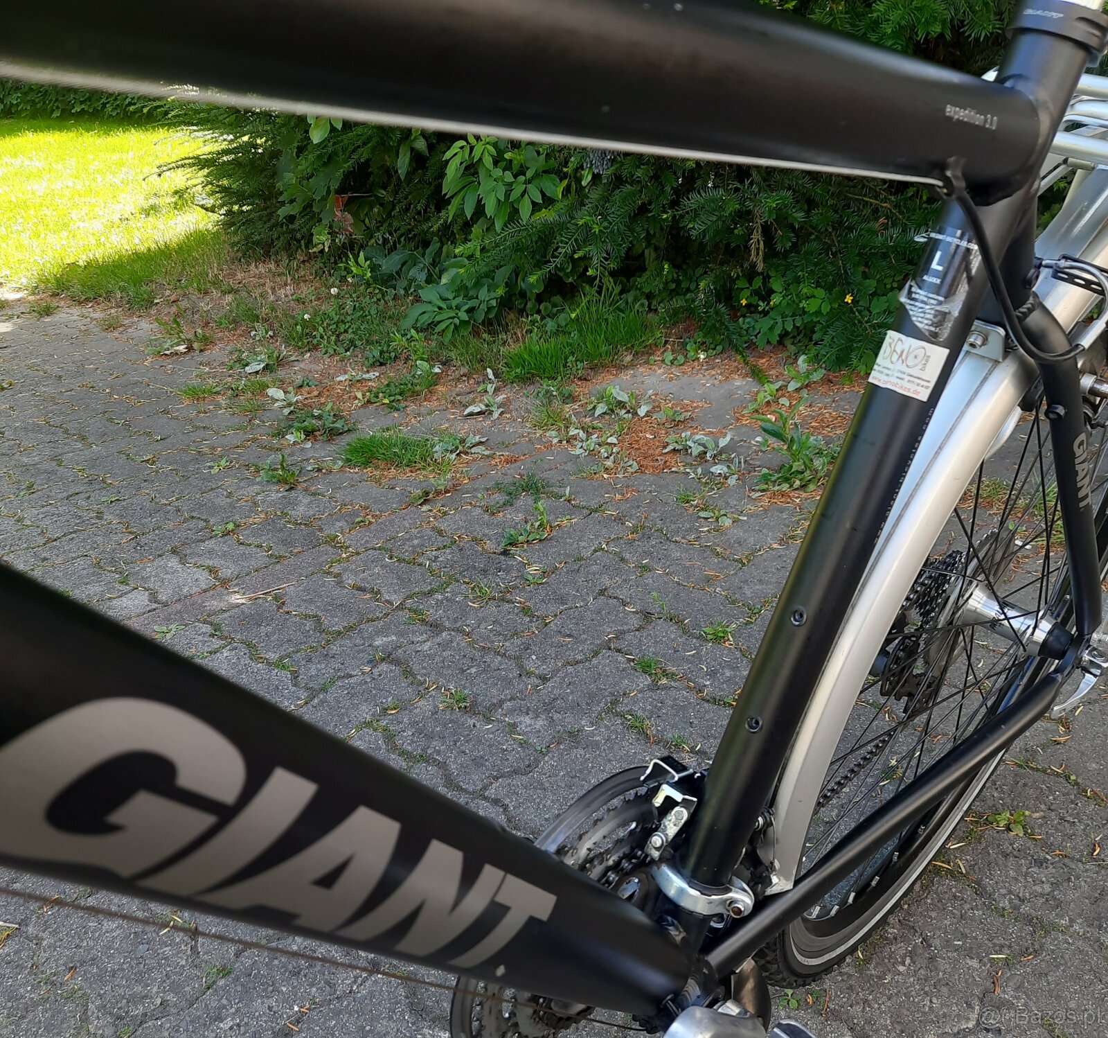 Rower Trekingowy Giant z Niemiec - 5