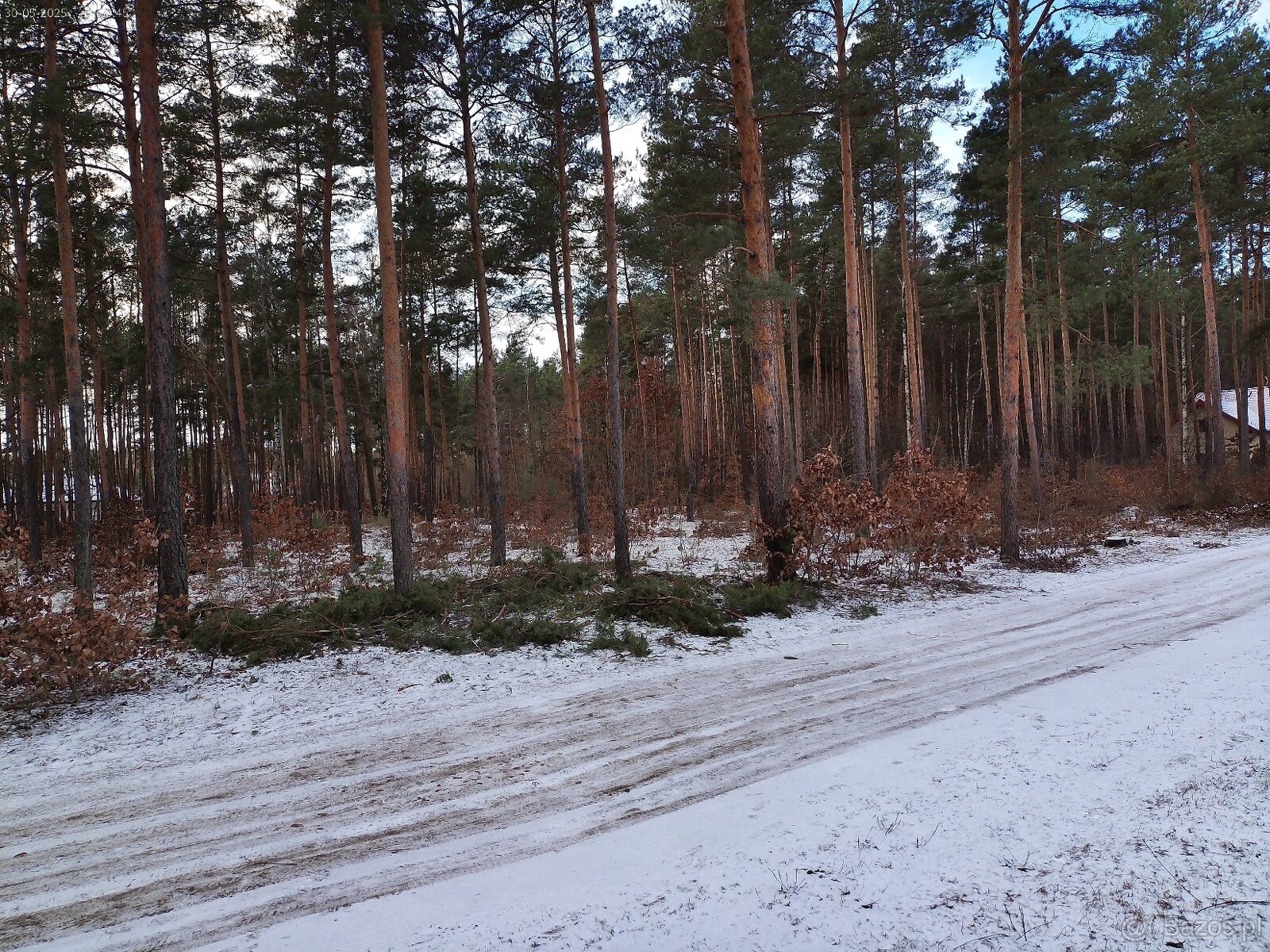 Leśno-budowlana - 5