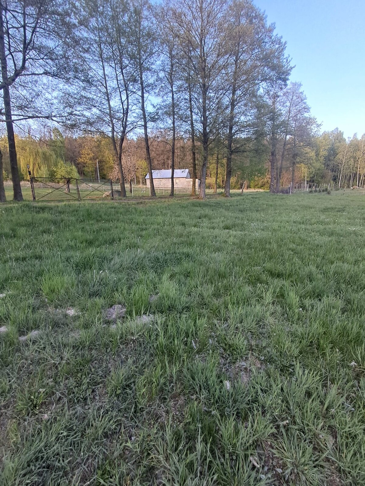 Działka budowlana o powierzchni 3900m2, Stobno Wieś - 5