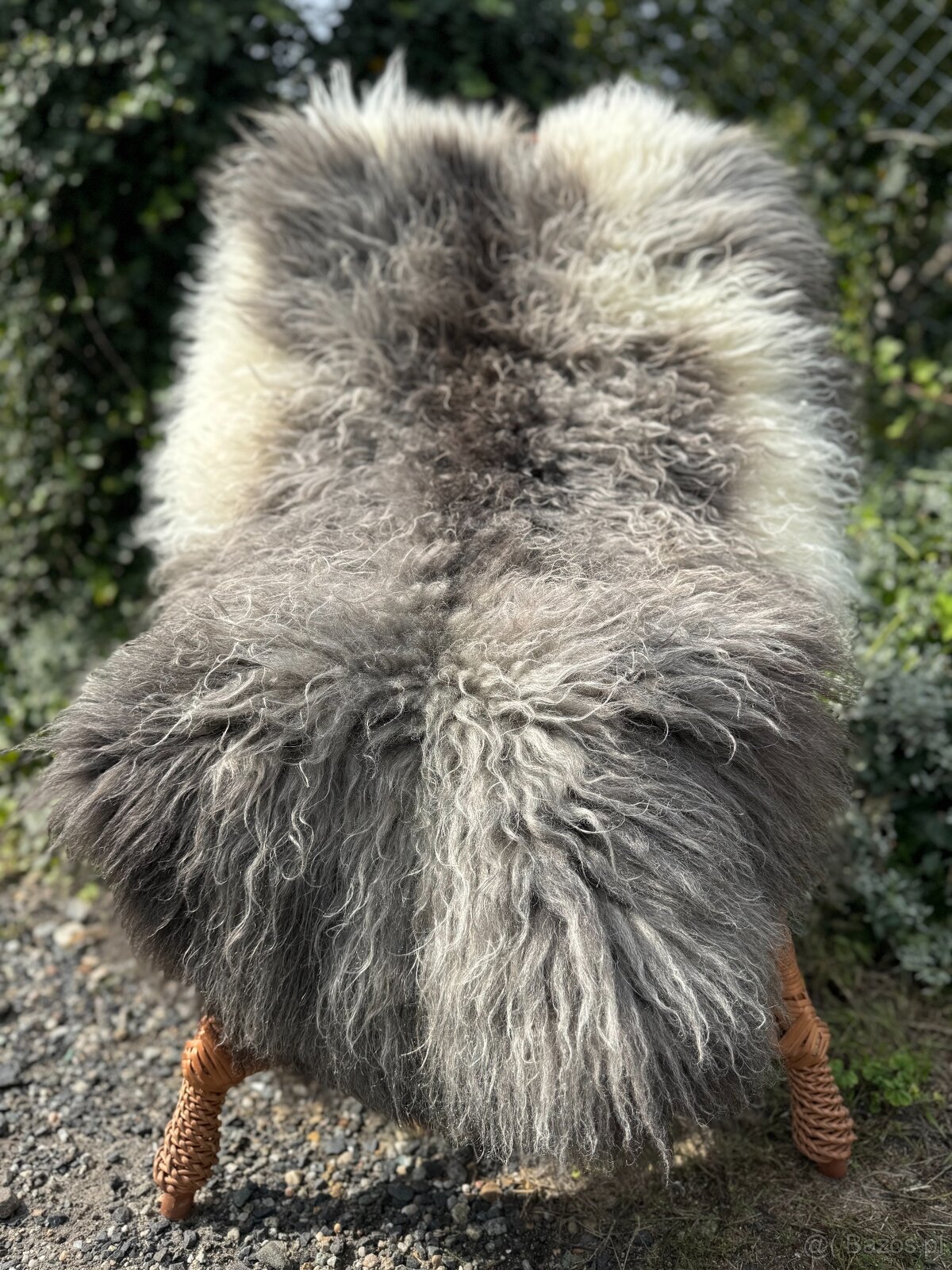 Naturalna skóra owcza szwedzka - dywany i dywaniki - 5