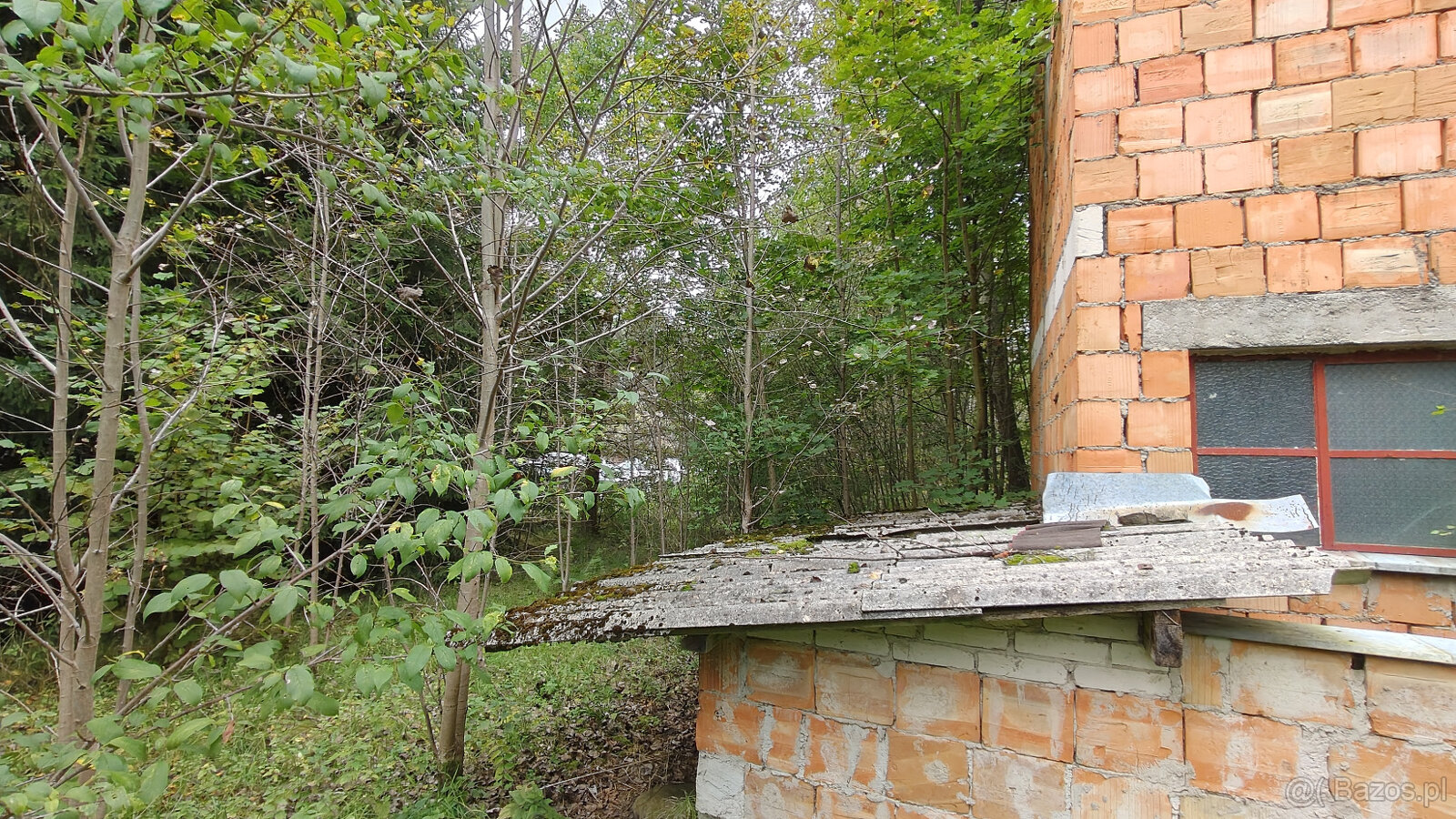 Nieruchomość Warkały 29B, gmina Jonkowo, woj. warmińsko-mazu - 5