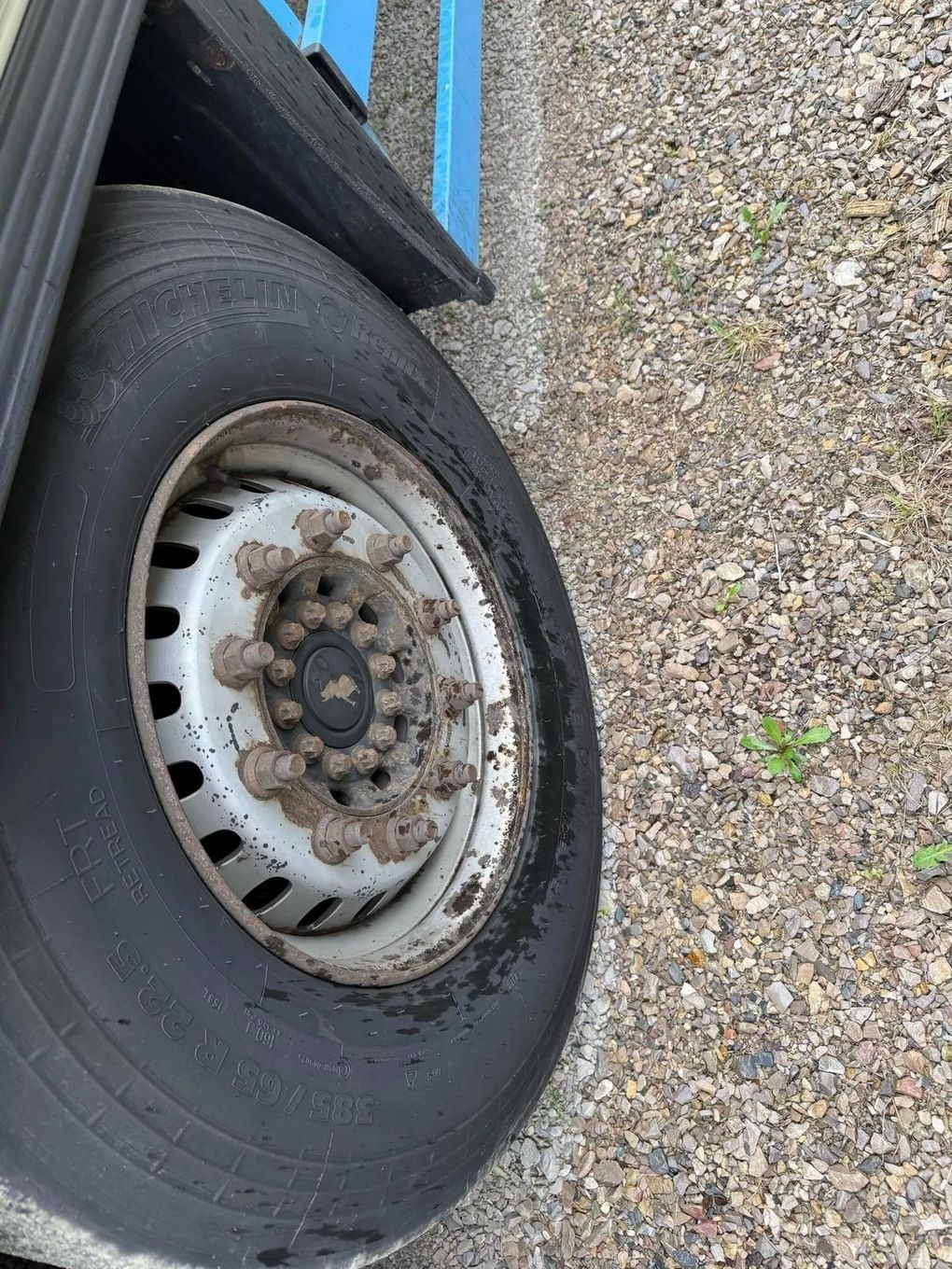 Naczepa Schmitz Carobull chłodnia - 5