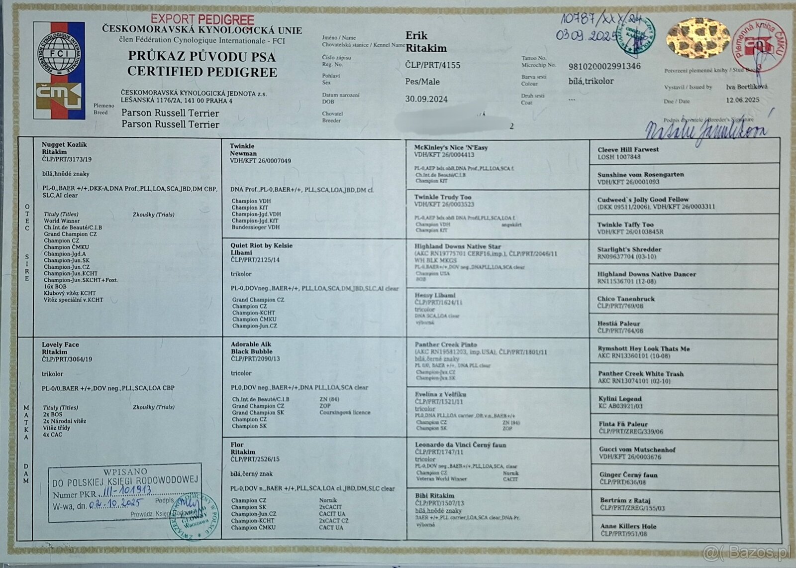 Reproduktor oferta krycia Parson Russell Terrier ZKWP FCI - 5