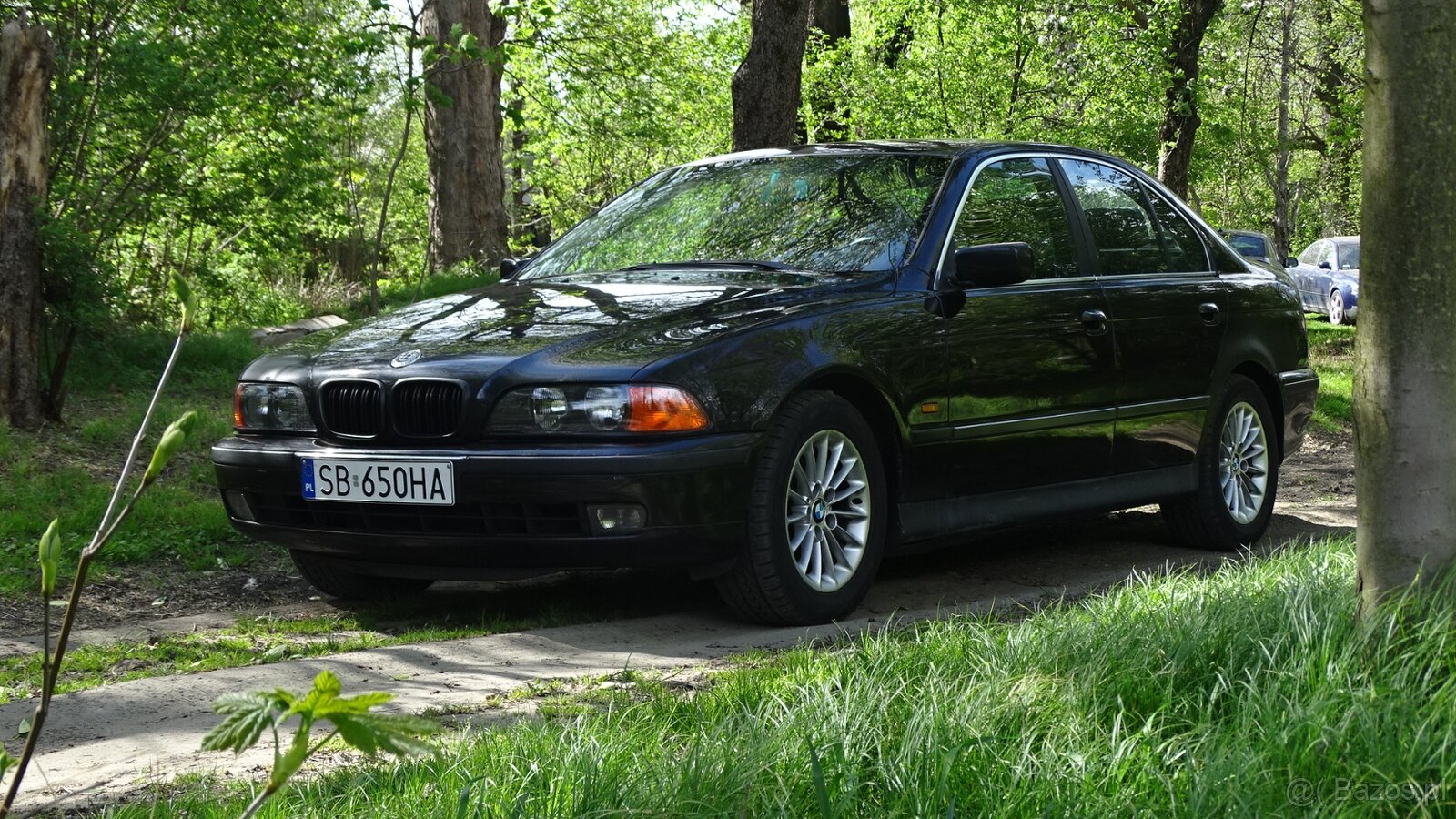 BMW e39 530d manual 193km - 5