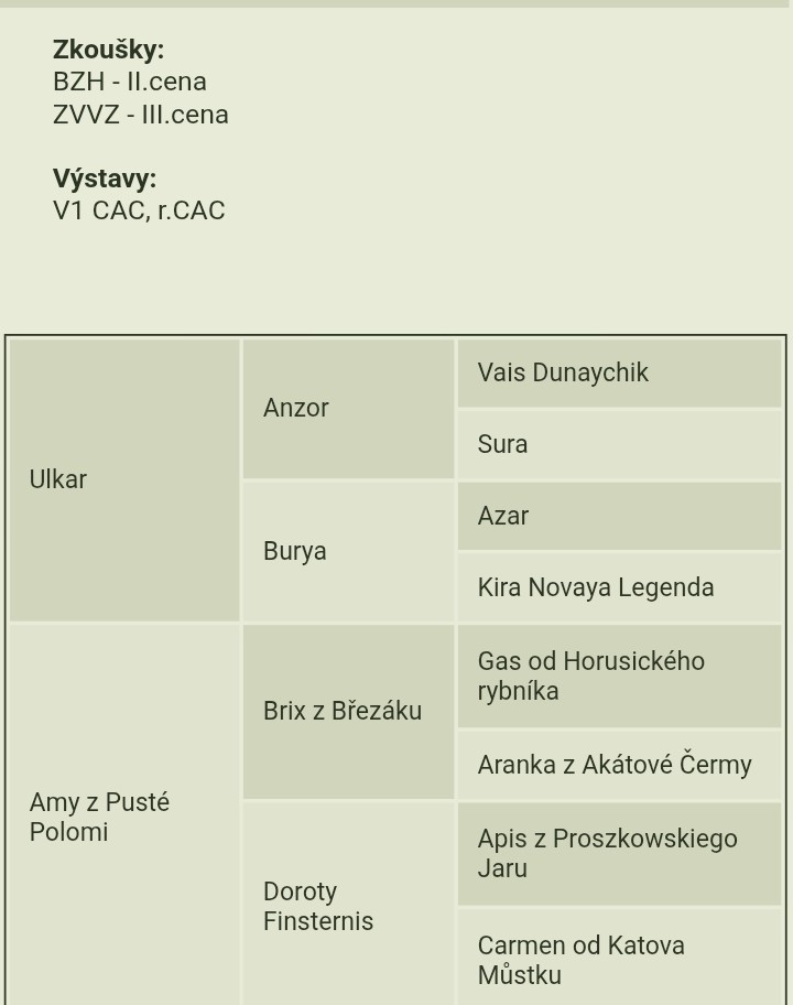 Západosibiřská lajka - 5