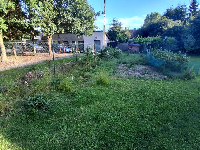 Mieszkanie z ogrodem - 5