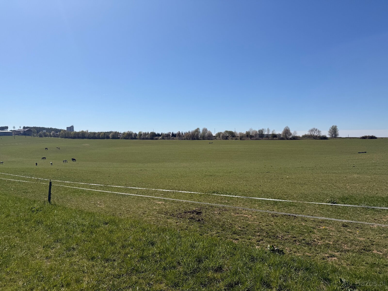 stajnie dla koni, źrebiąt i emerytów - 5