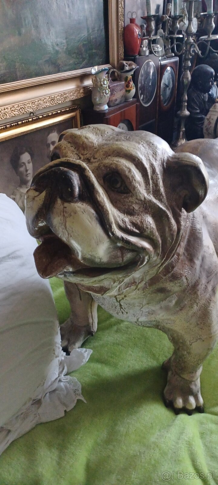 figura BULDOG ANGIELSKI XXL z żywicy wysokośc 74 z glowa 56c - 5