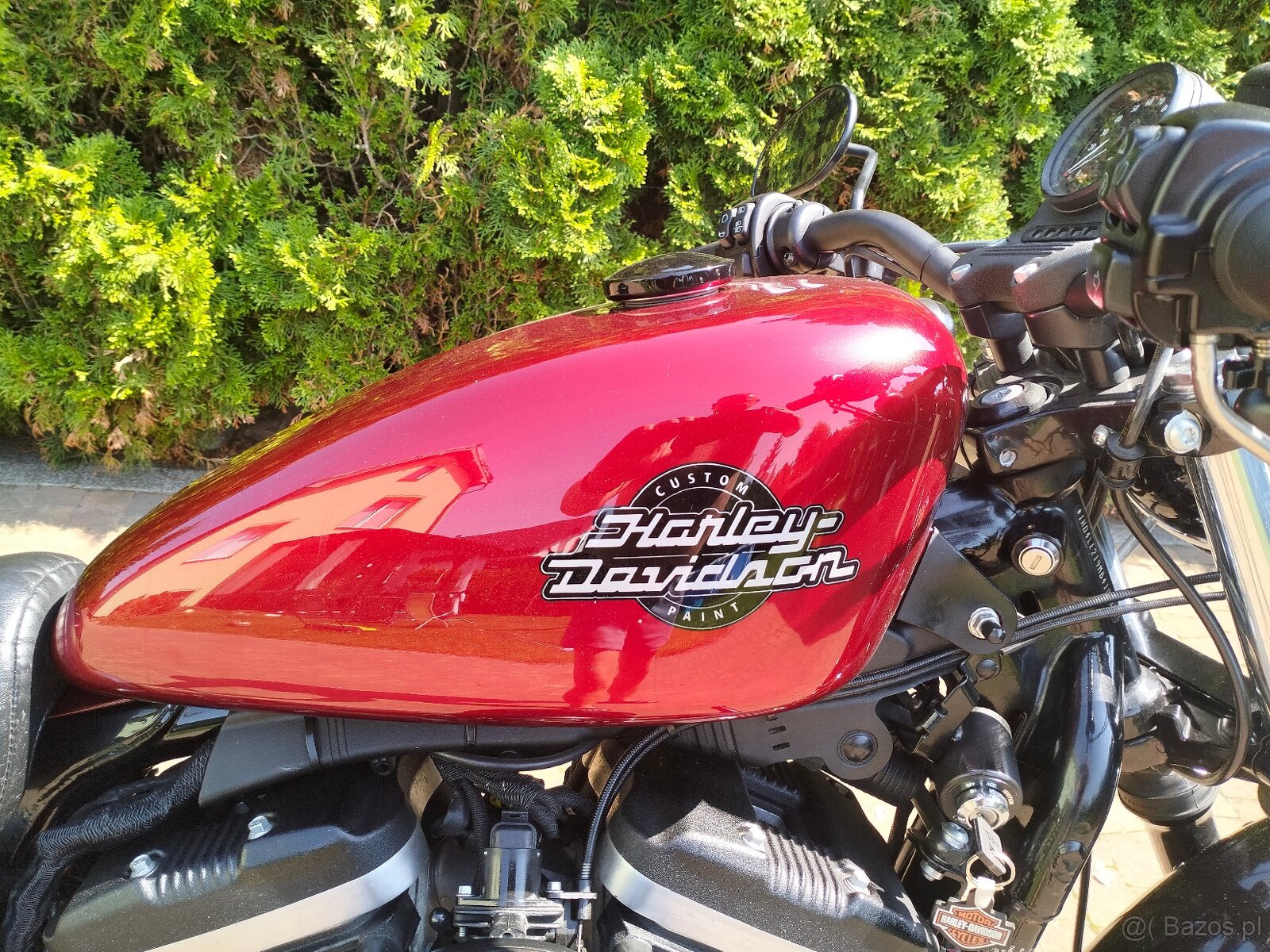 Sportster IRON Harley Davidson - 5