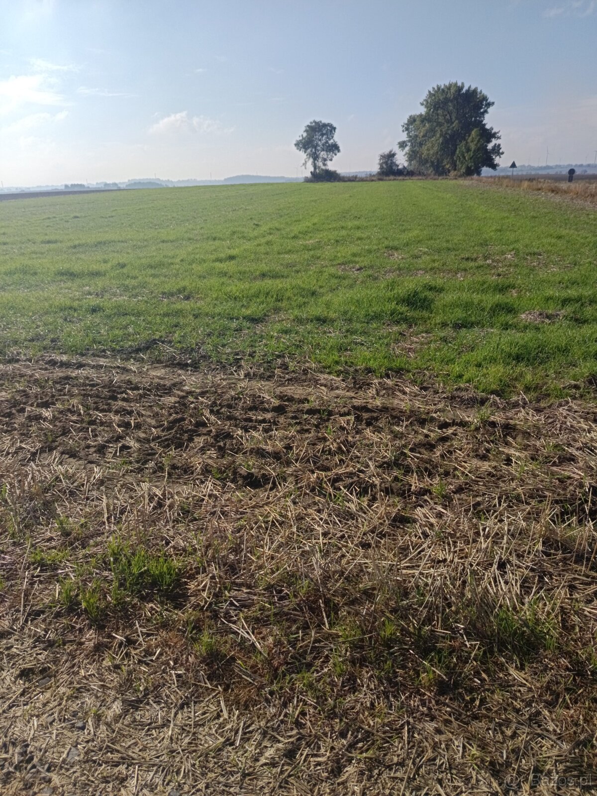 Działka budowlana 93,3 ar - 5