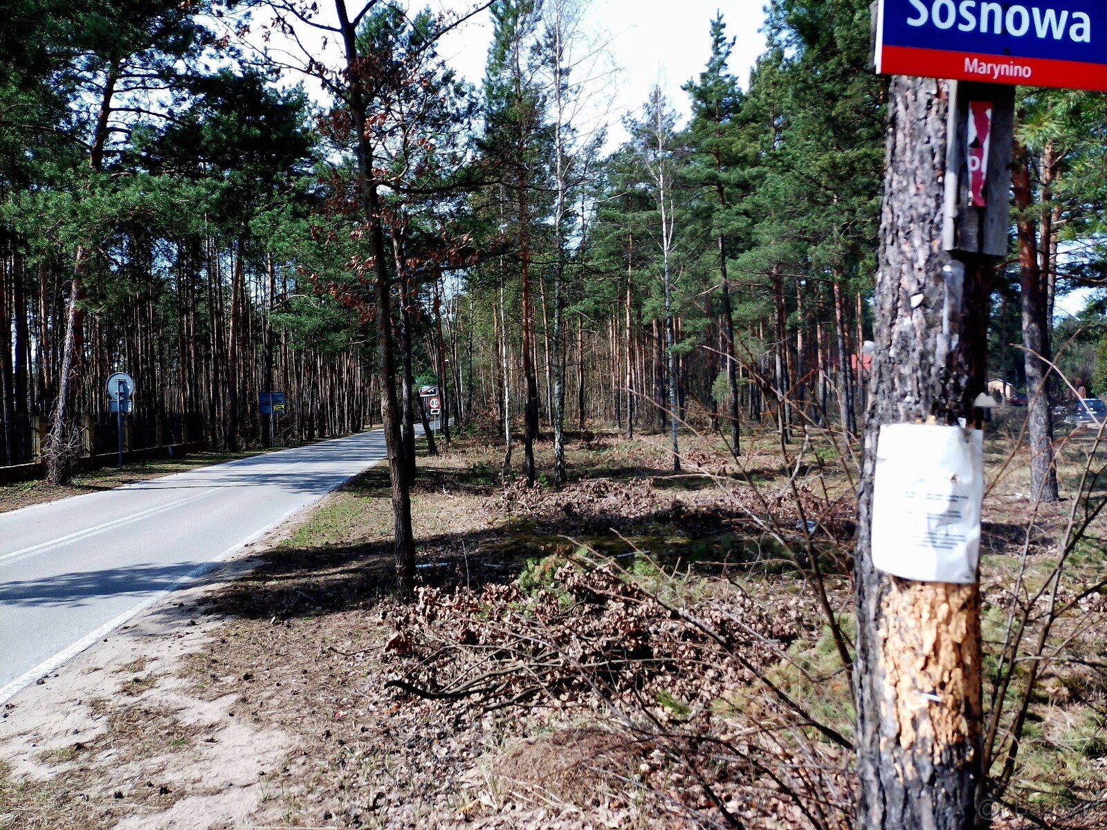 Leśno-budowlana - 5