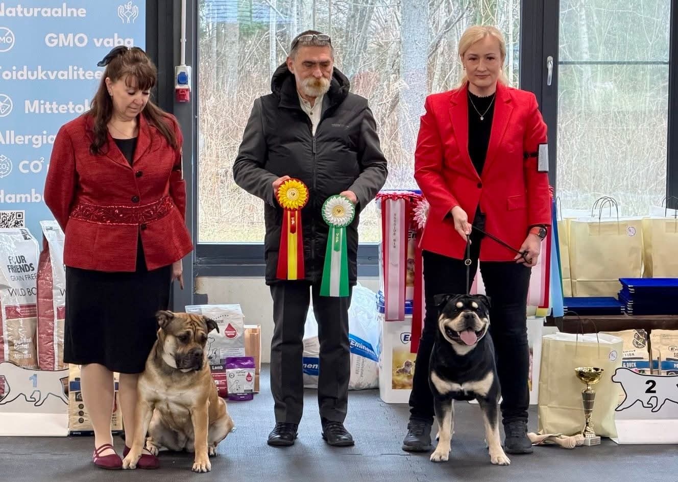 Dog Z Majorki Ca De Bou - 5