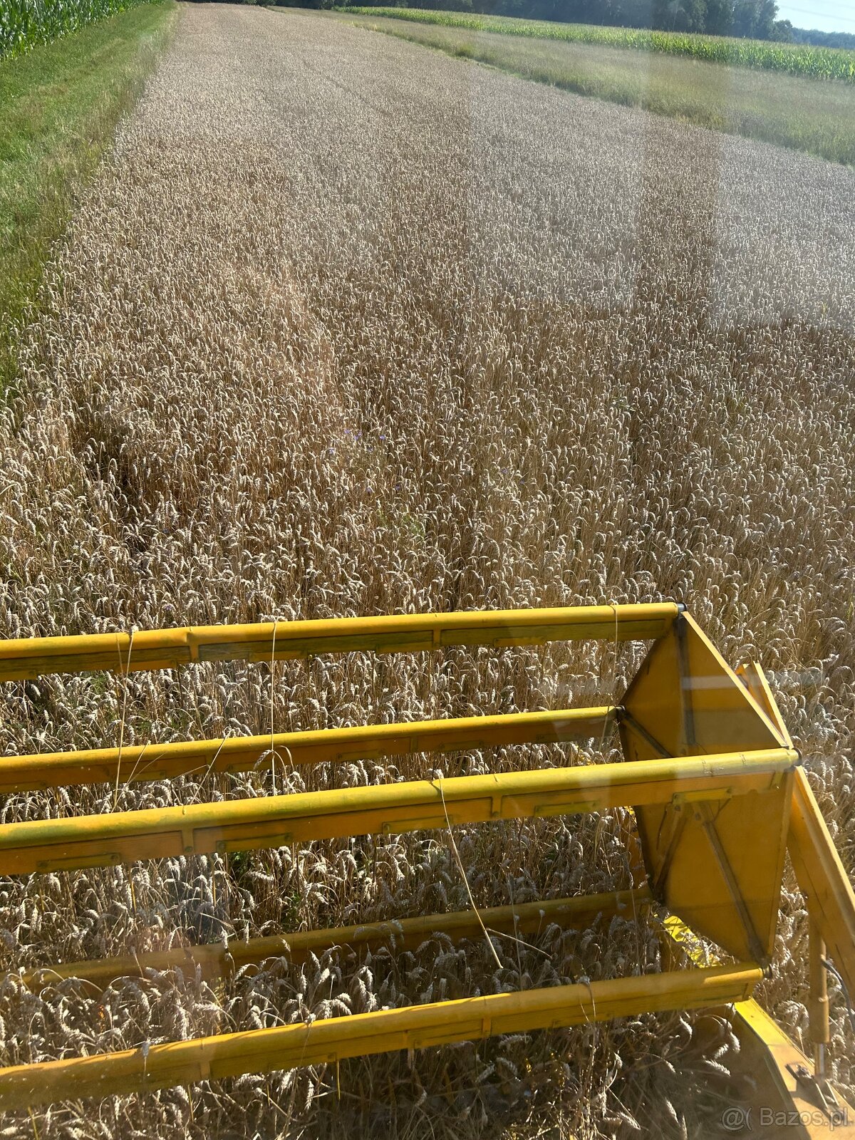 Kombajn zbożowy sampo 580 - 5