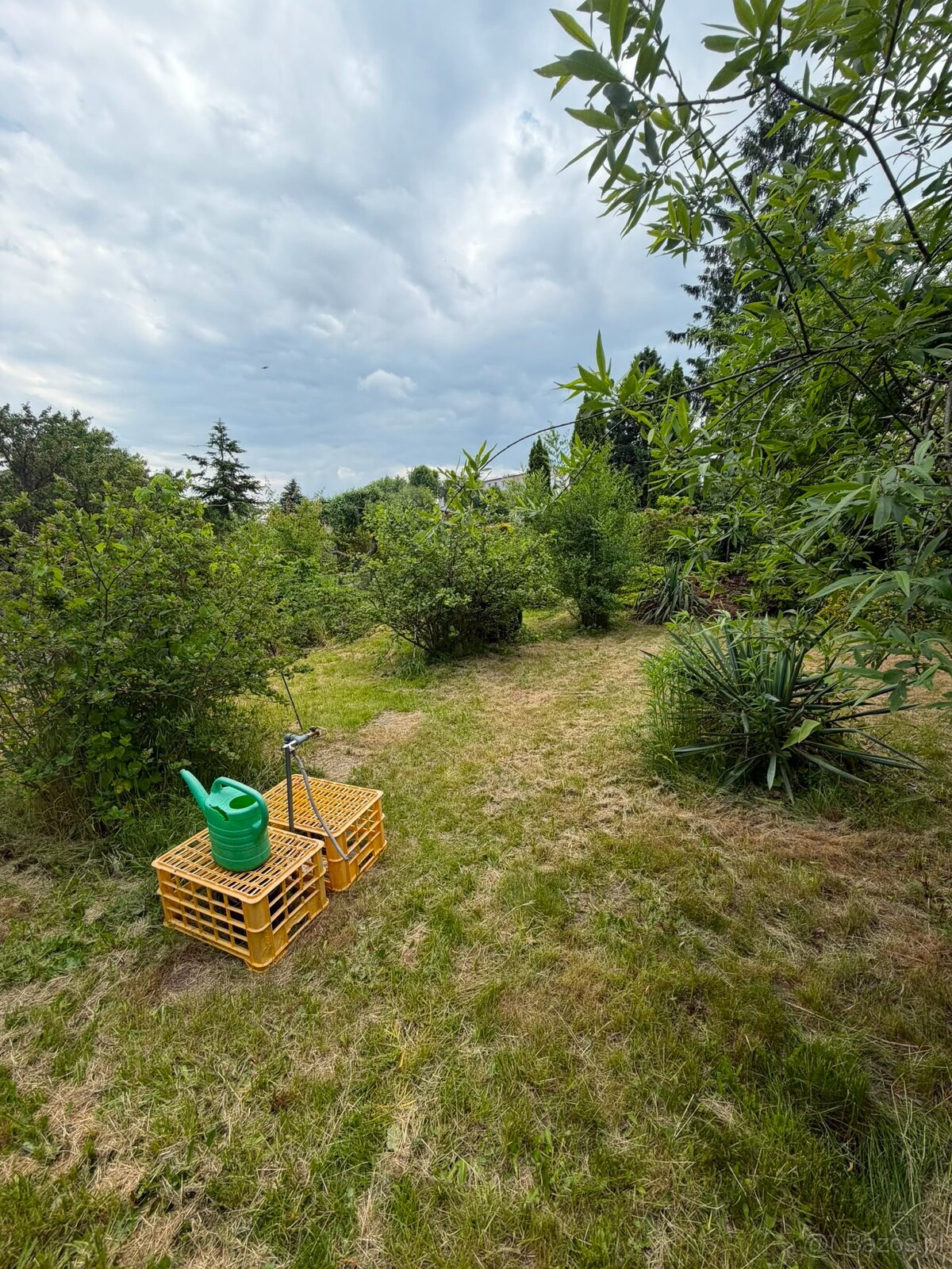Działka rekreacyjna 400 m² z domkiem – ROD, Kalisz - 5