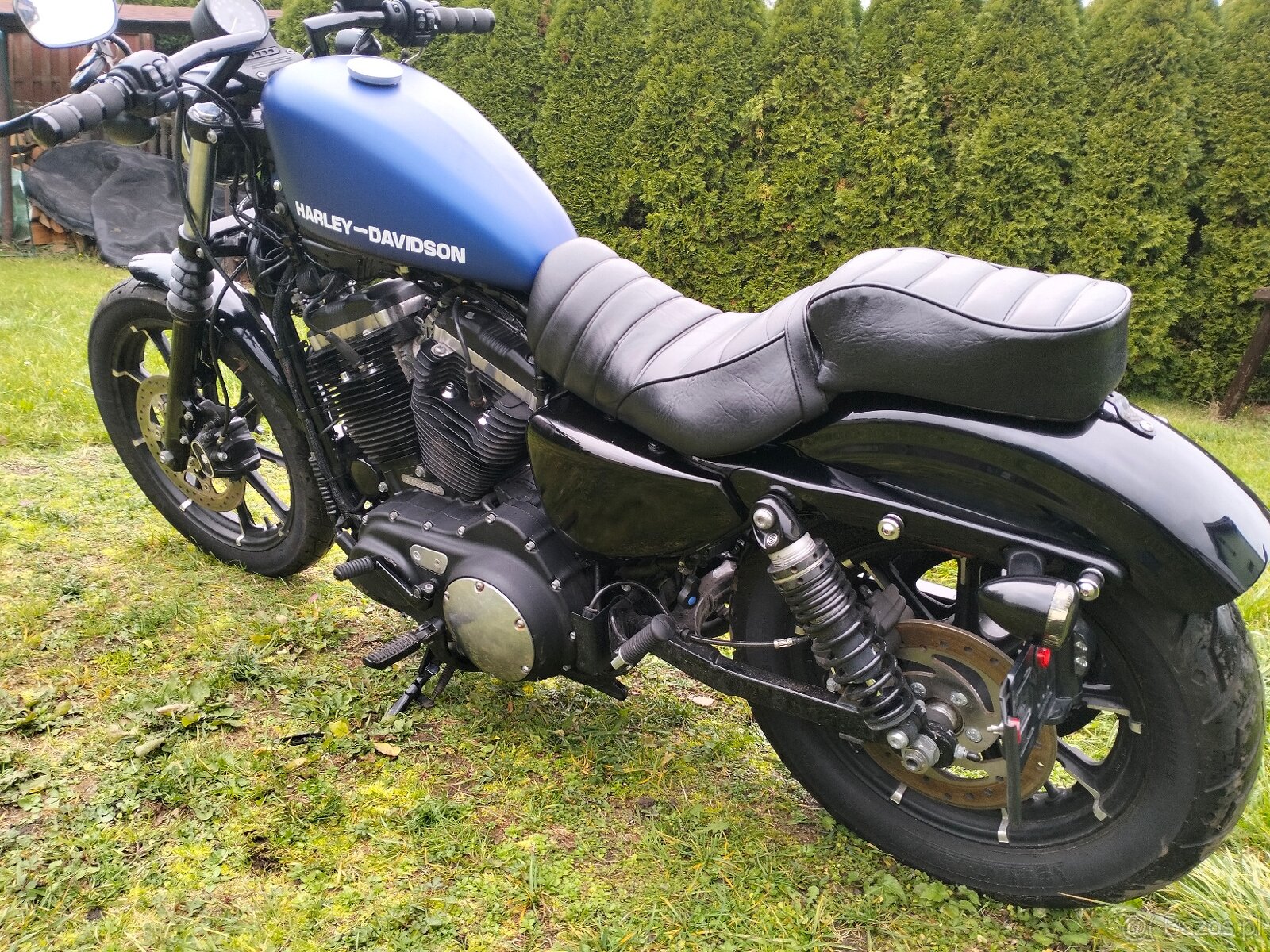 Harley Davidson sportster Iron - 5