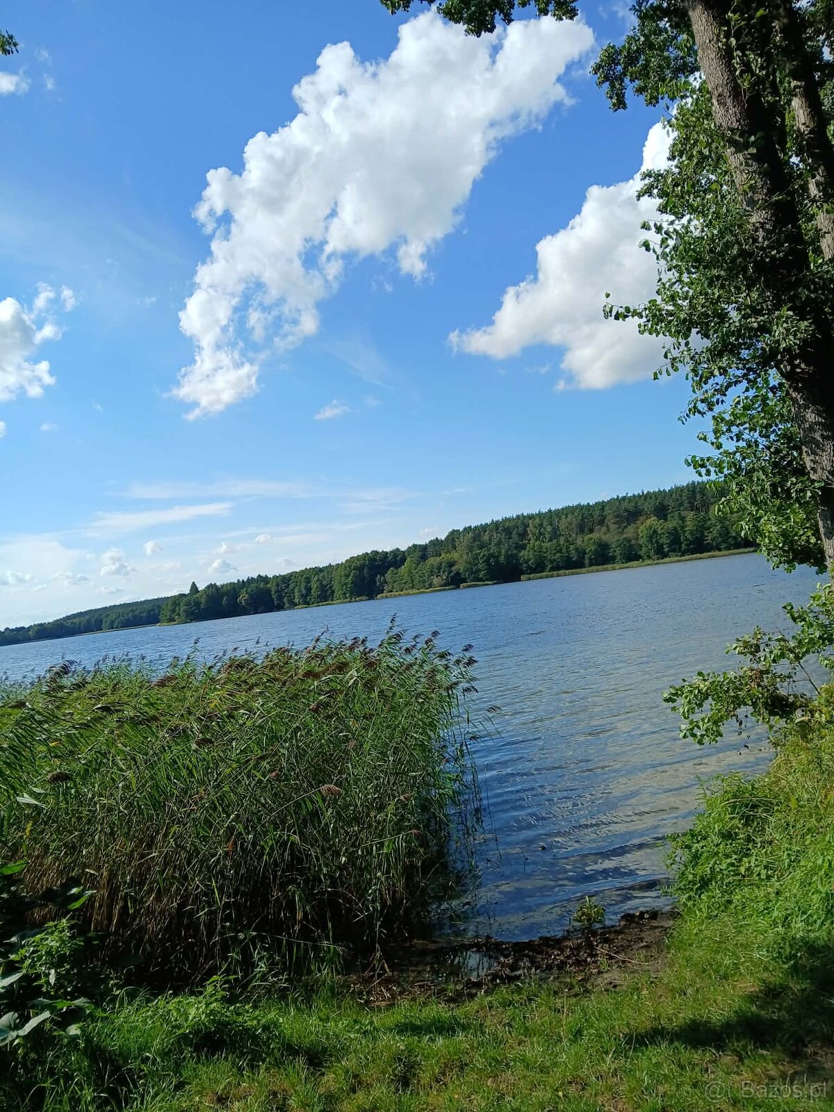 Sprzedam działkę budowlaną - 5