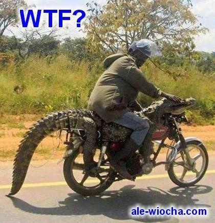 Potachy na siedla motocyklowe - 5