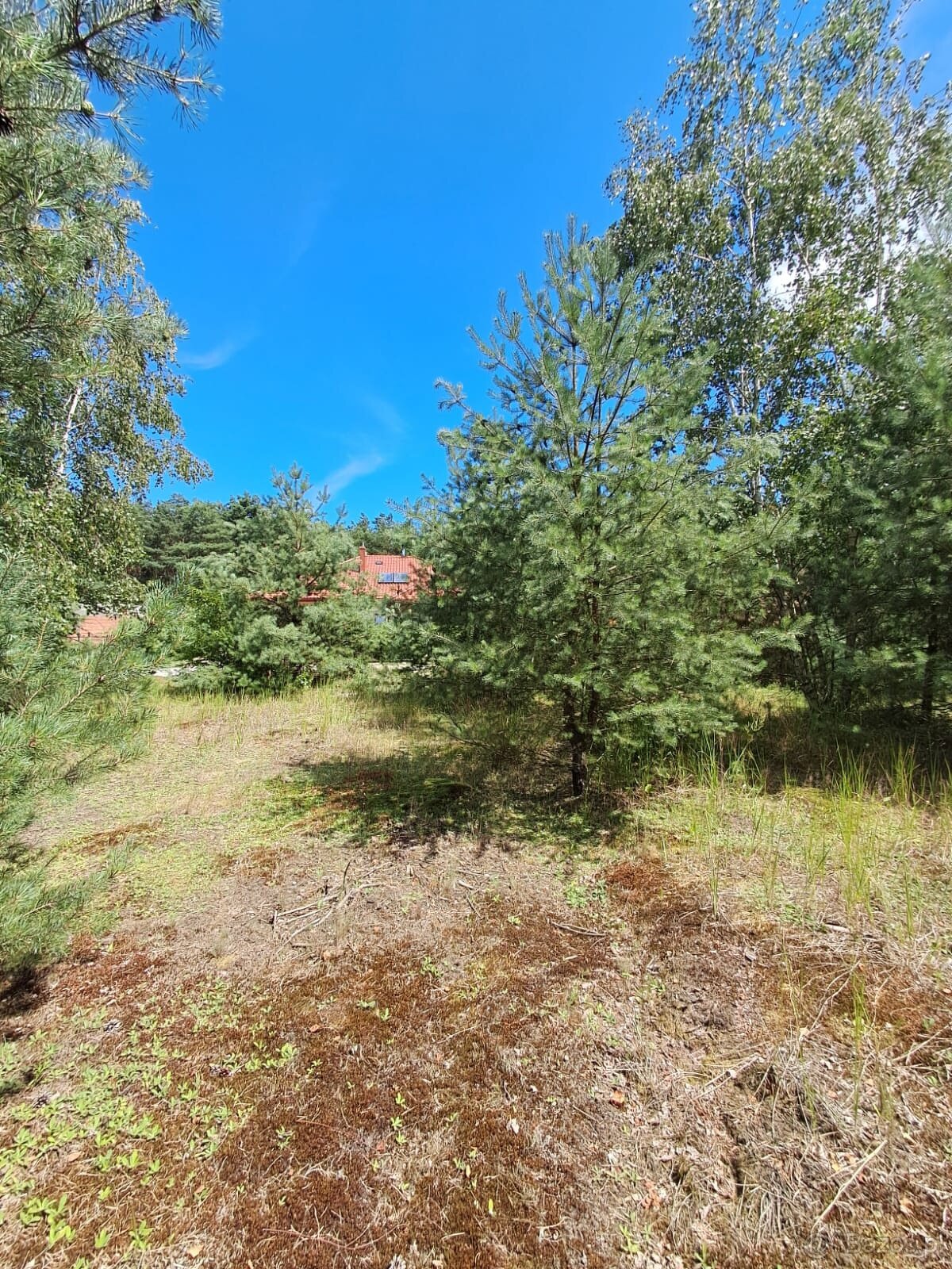 Działka budowlana o powierzchni 1686 m2, Prażuchy Nowe - 5