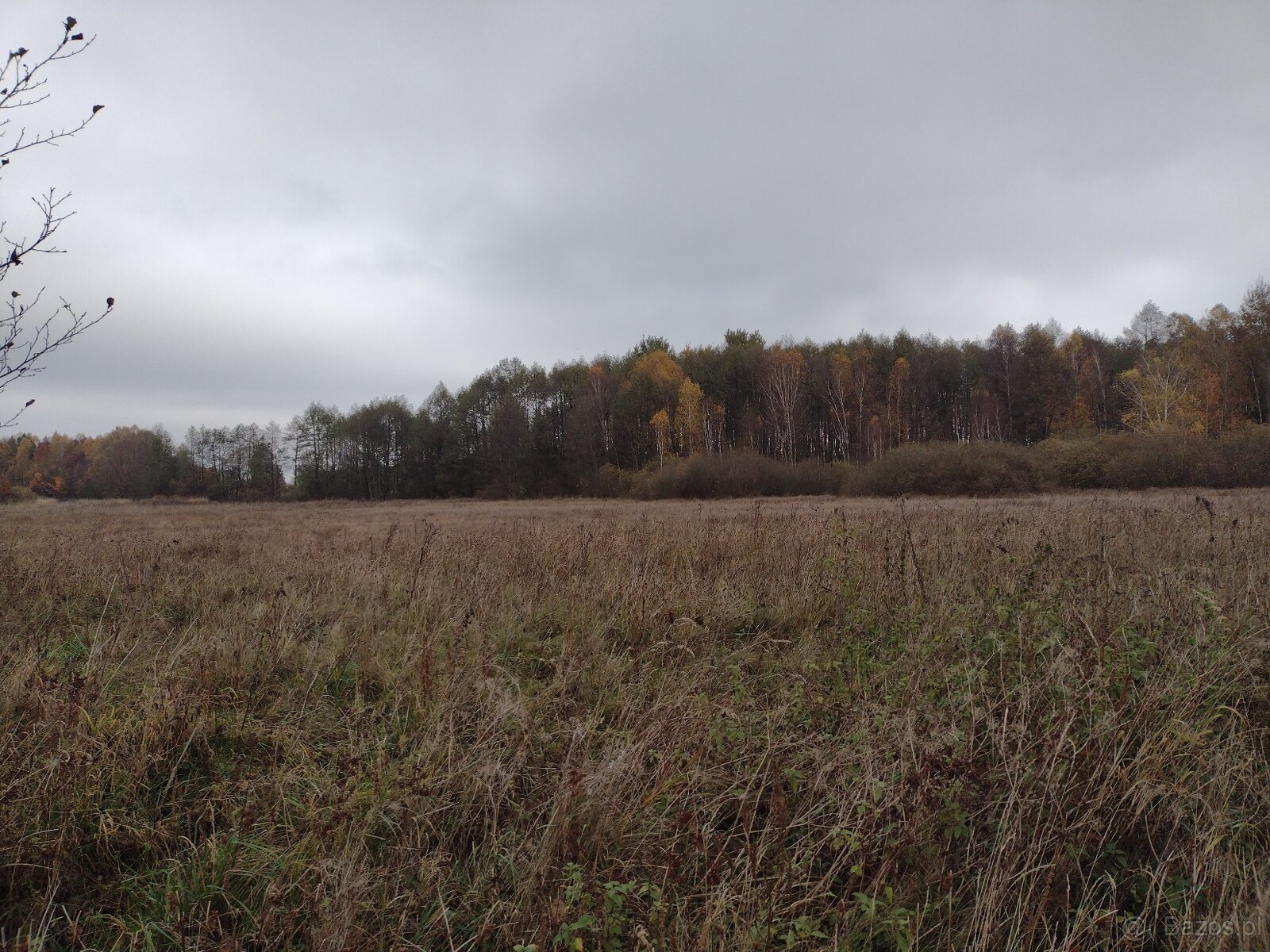 Sprzedaz dzialki - 5