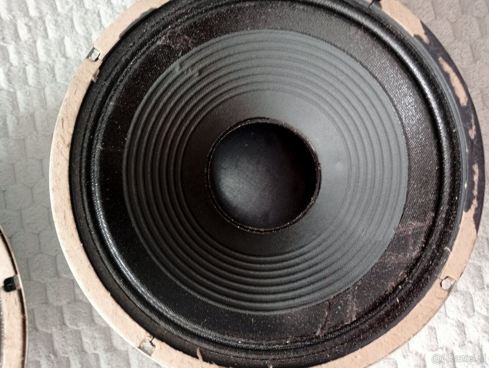 Głośńiki CELESTION 30 cm 8 ohm - 5