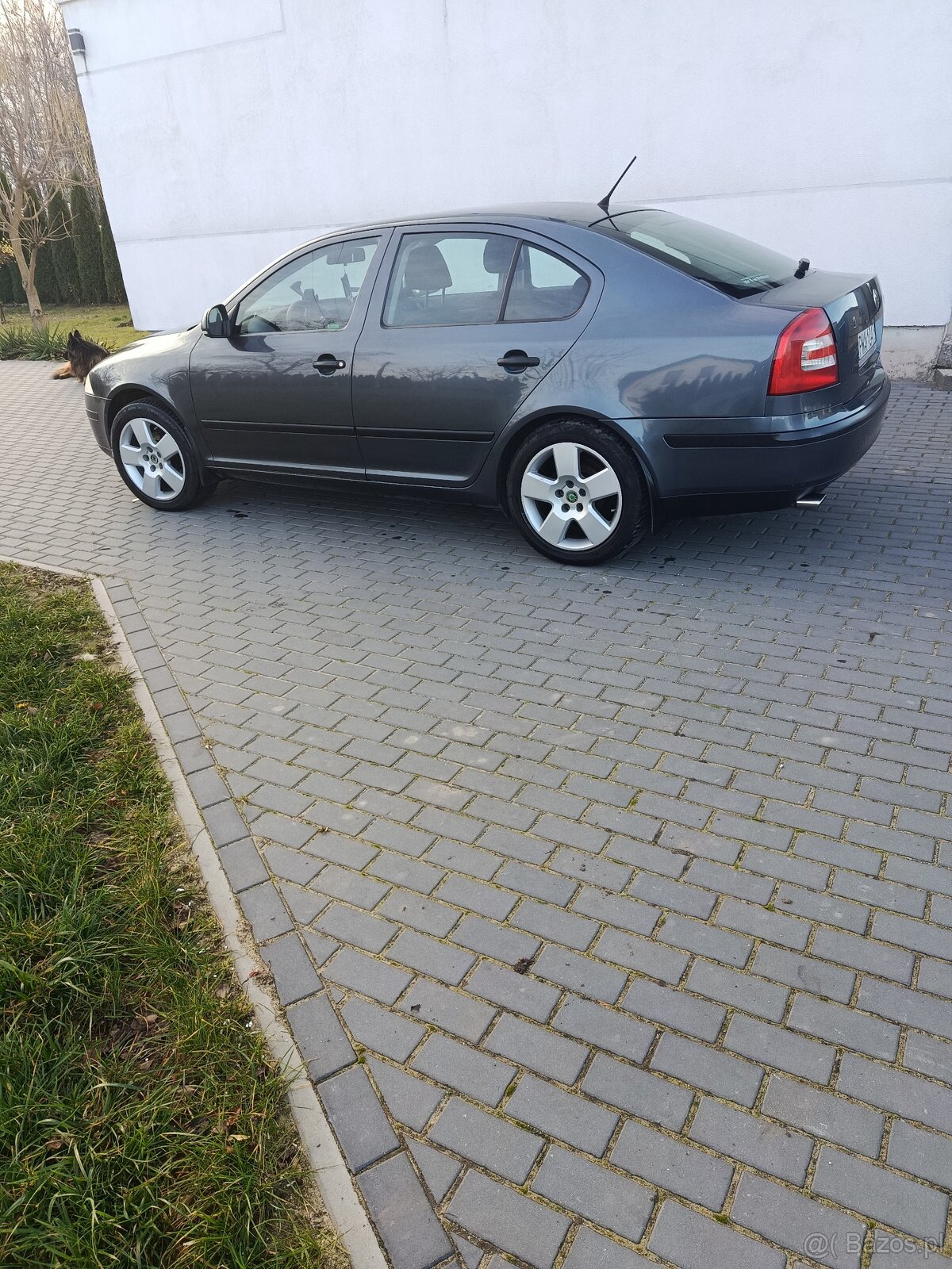 Skoda Octavia 1,6 lpg - 5