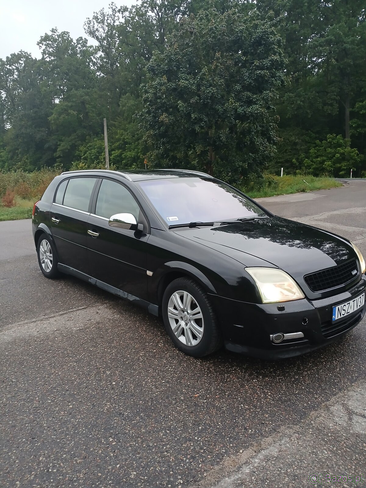 Sprzedam signuma - 5