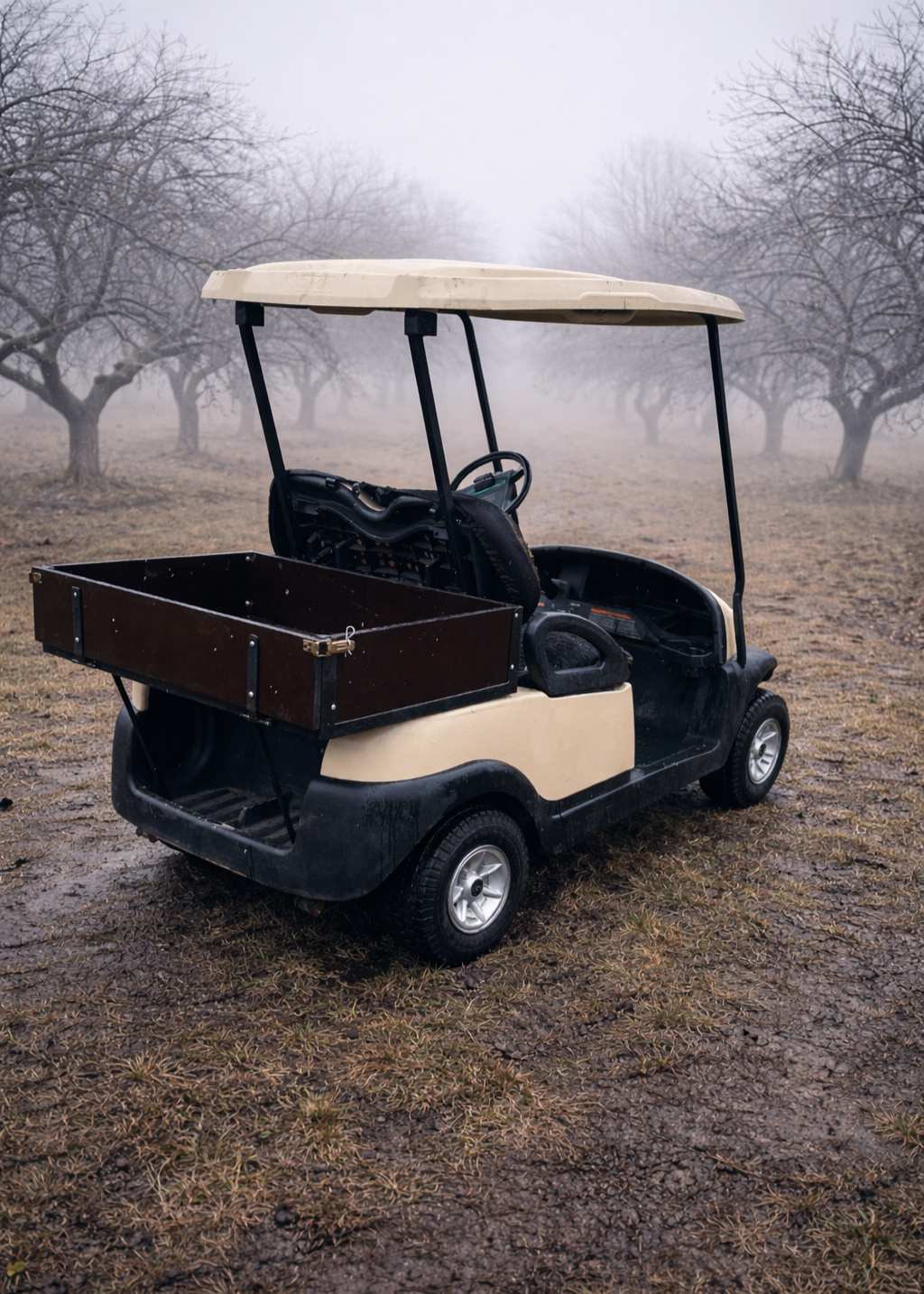 Elektryczny wózek golfowy - 5