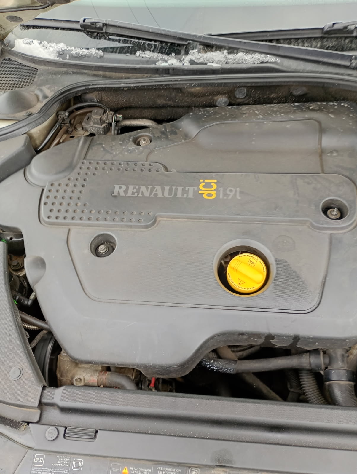 Reno laguna 2004 - 5