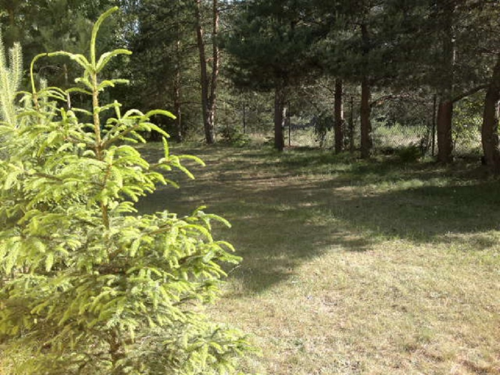 SEZON--2025-Samodzielny dom z ogrodzoną działką nad jeziorem - 5